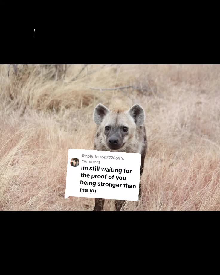 @AbrahamTheHyena✝️