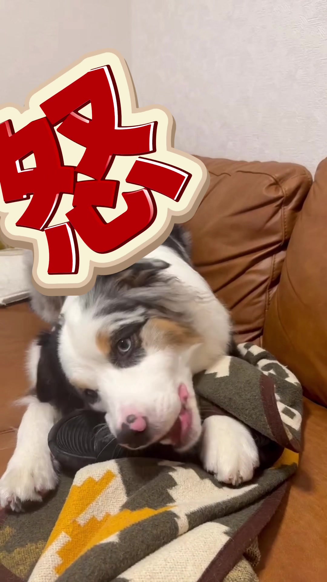 @サン&タマ