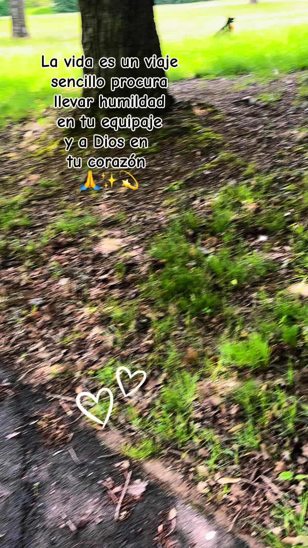 @Angel Sanchez