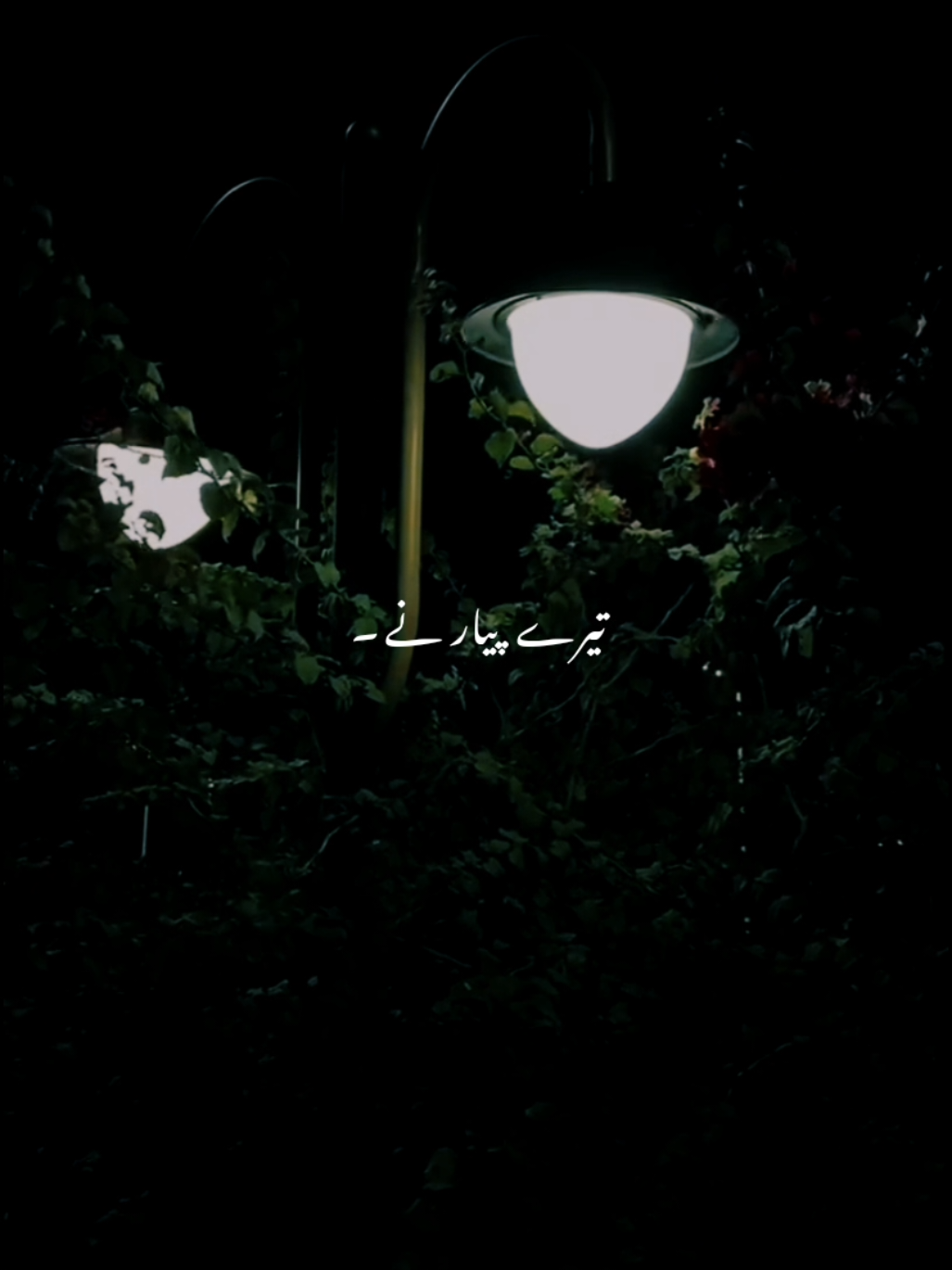 @𝘼𝙐𝙉 𝙓 𝙀𝘿𝙄𝙏𝙕