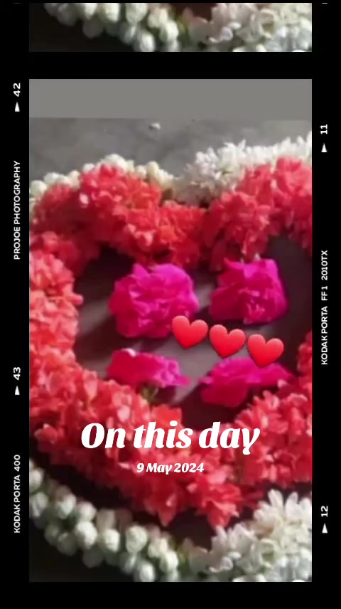 @(🌺👌🌹💯🌷👌💐💯❣️