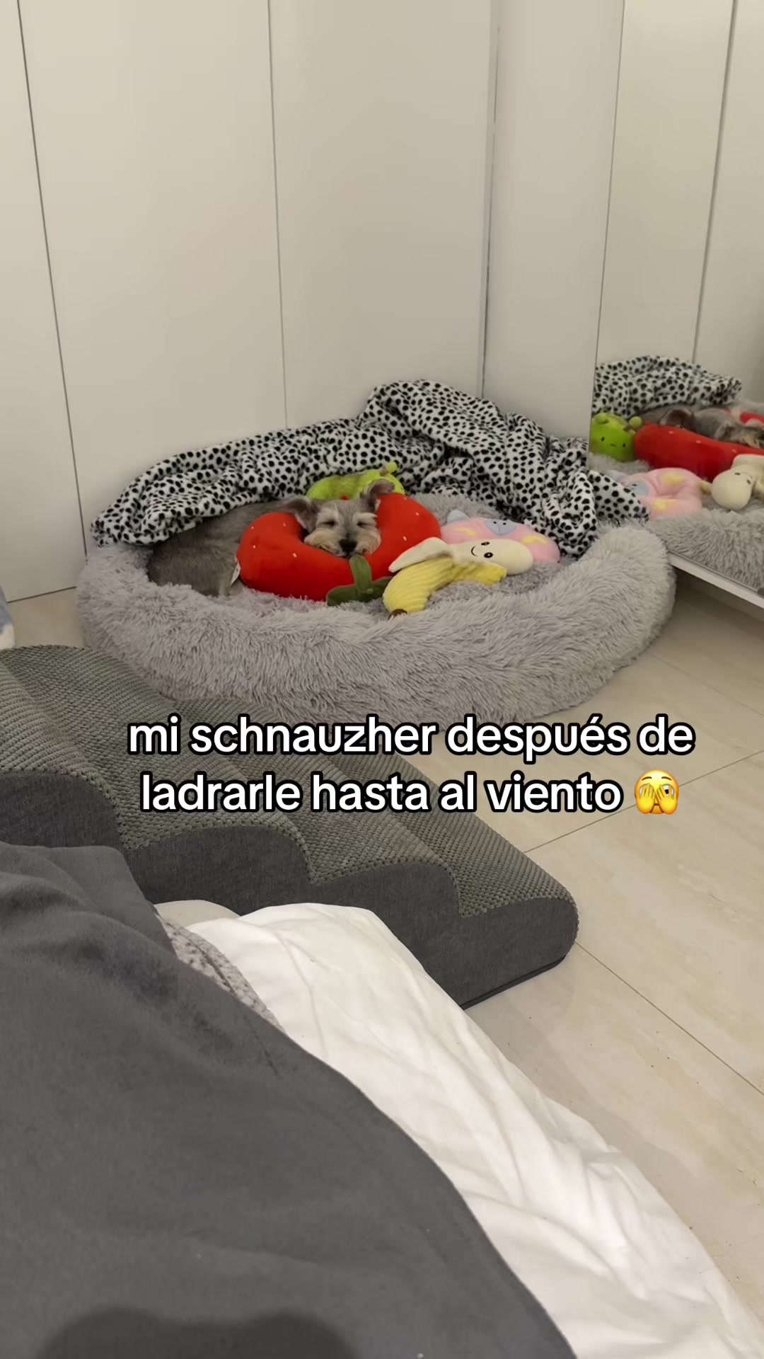 @vidadlanky