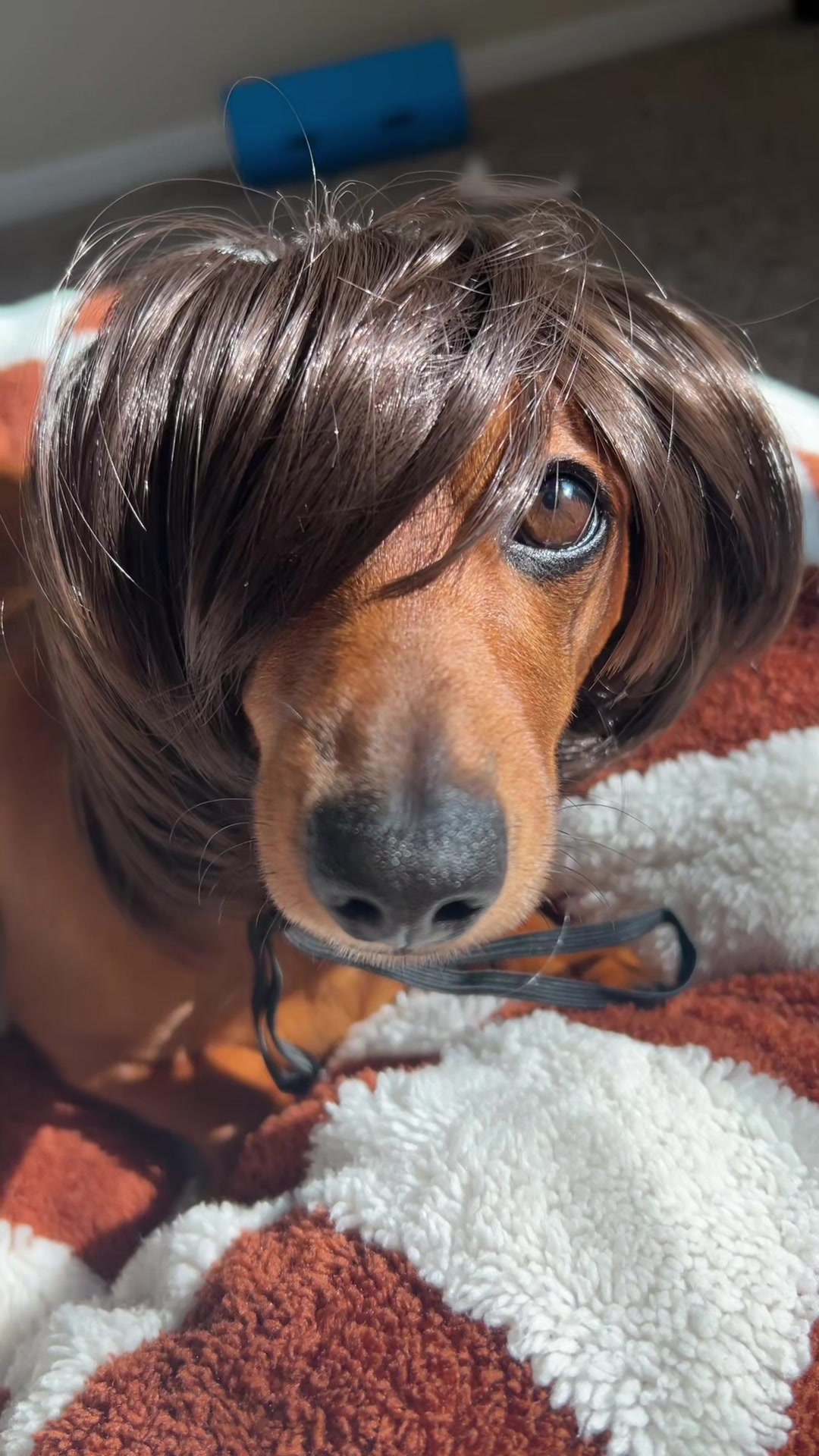 @Slinky Severus-Doo