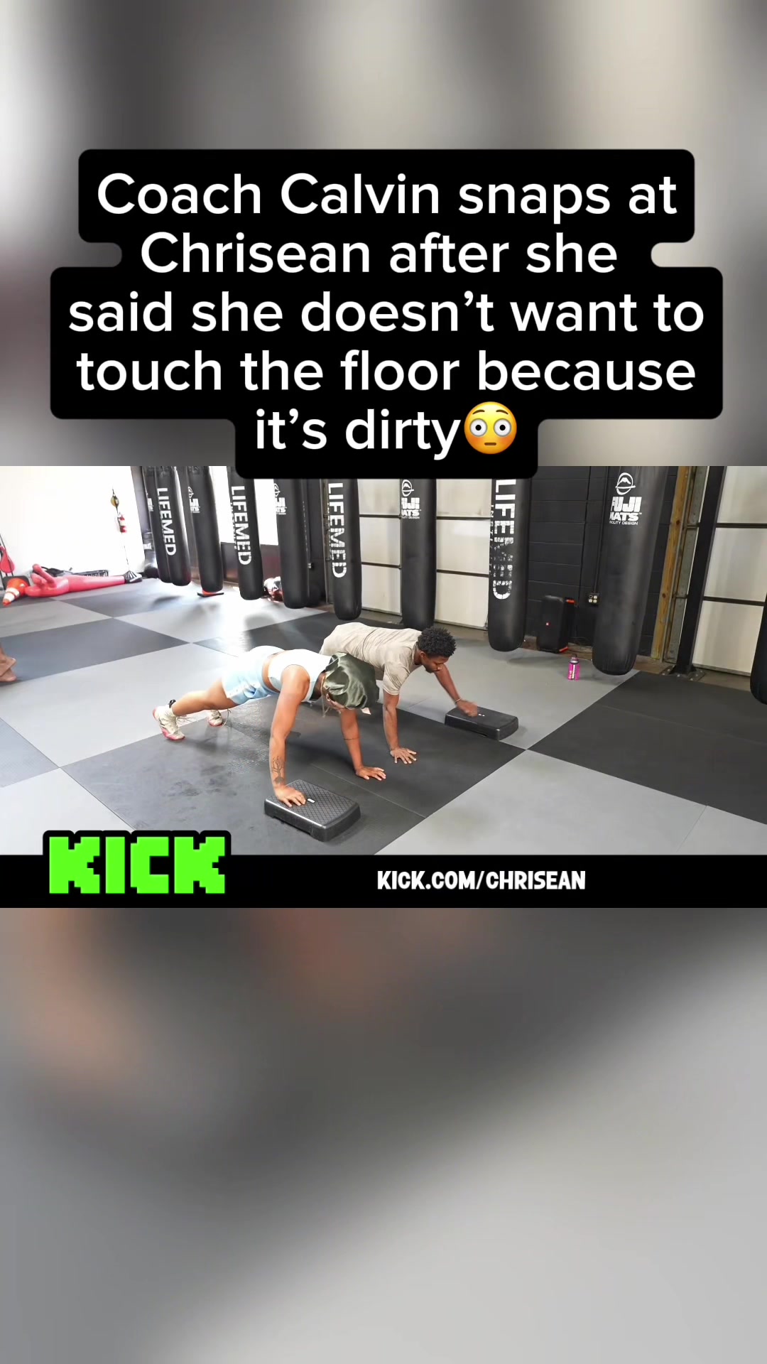 @gerbilclippedit