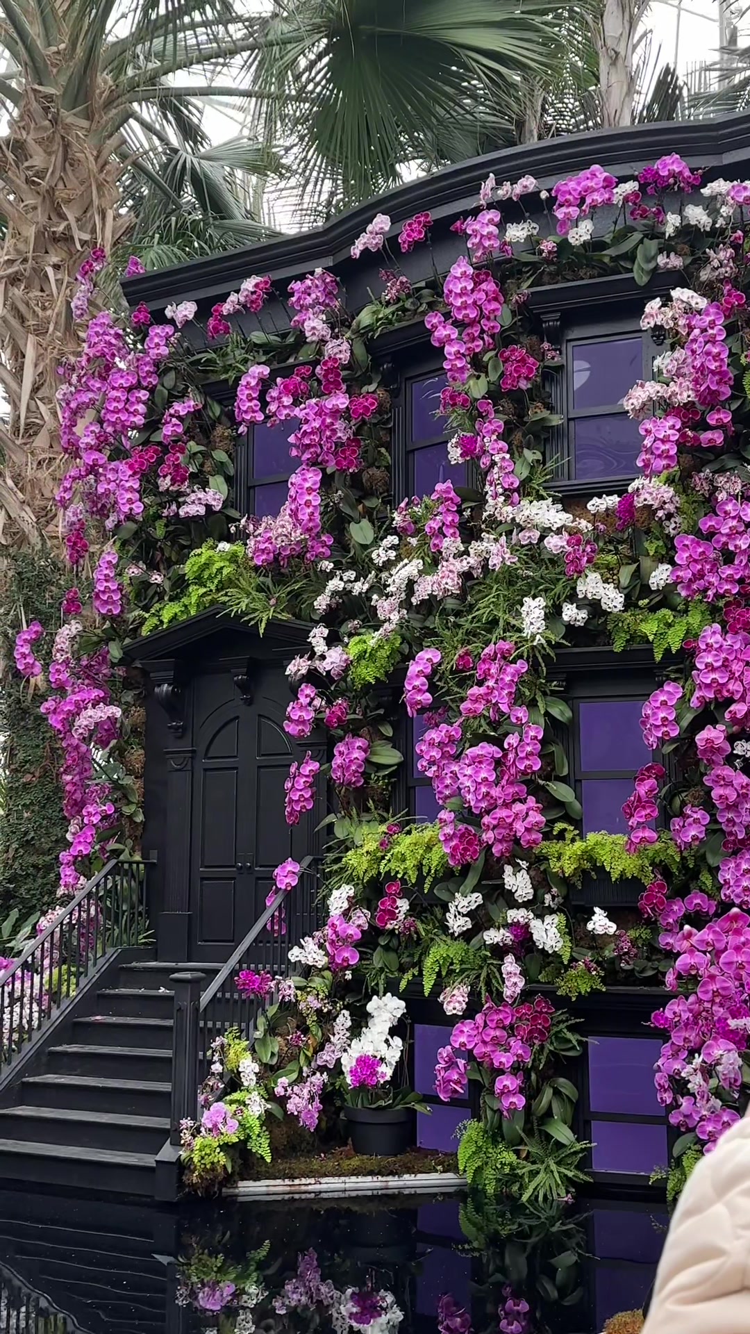@Pao 🐝