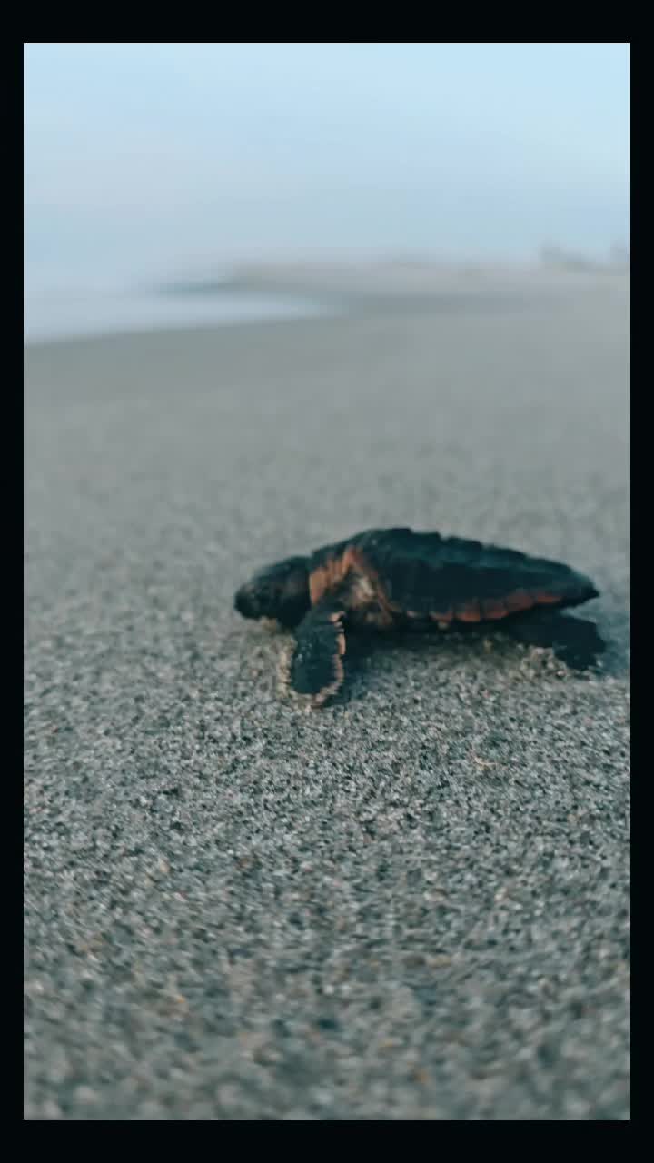 @justbeachy