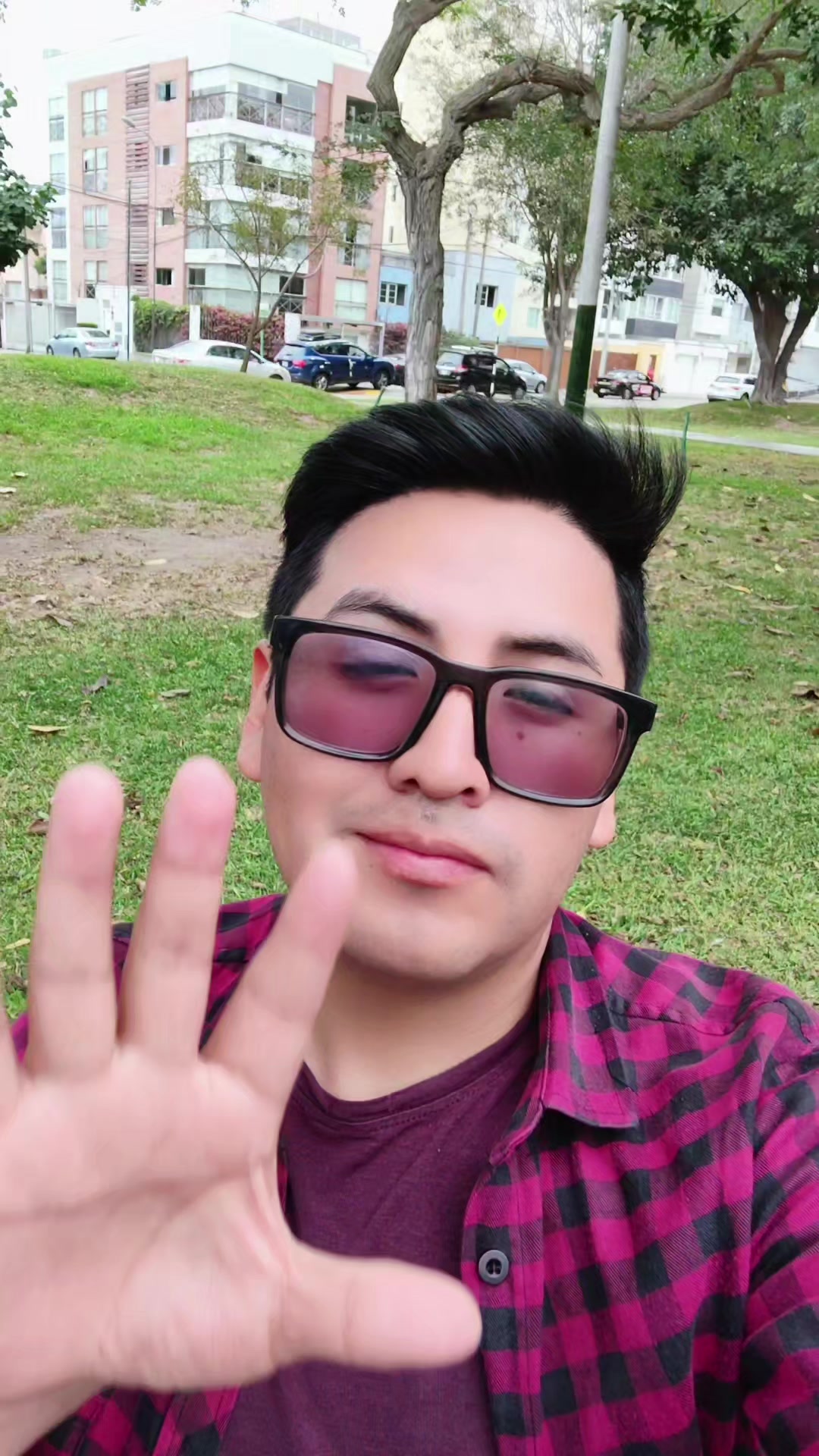 @David Flores - SyP