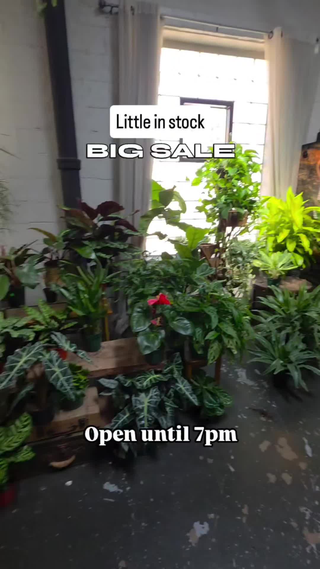@energygardens