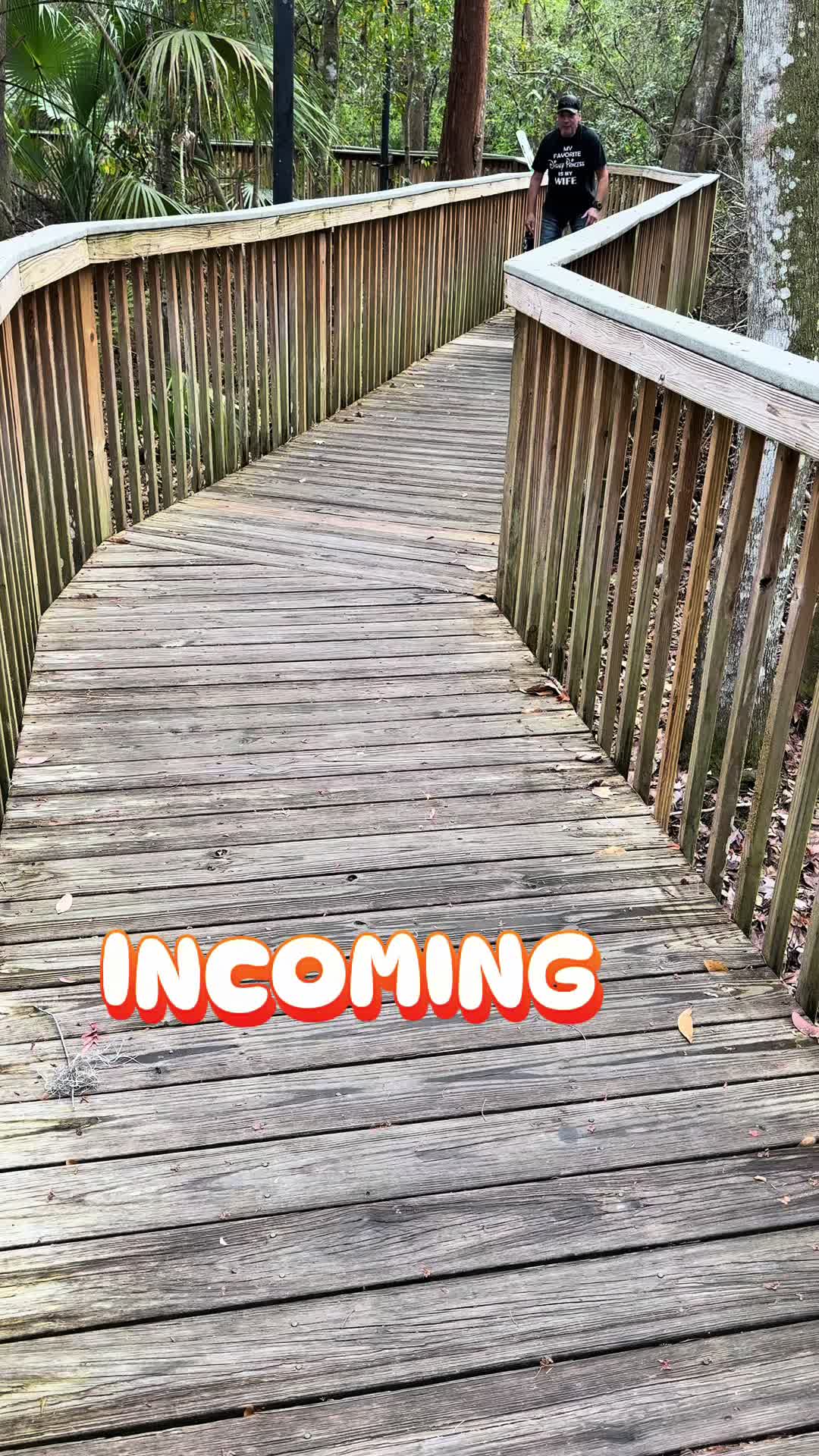 @Luxe The Adventure Poodle