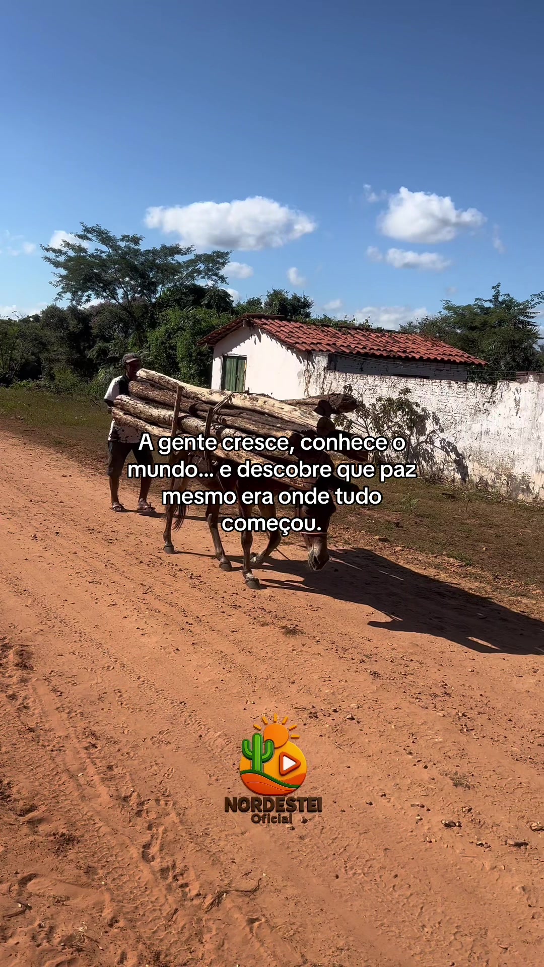 @nordesteioficial