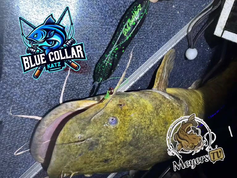 @BlueCollarKatz
