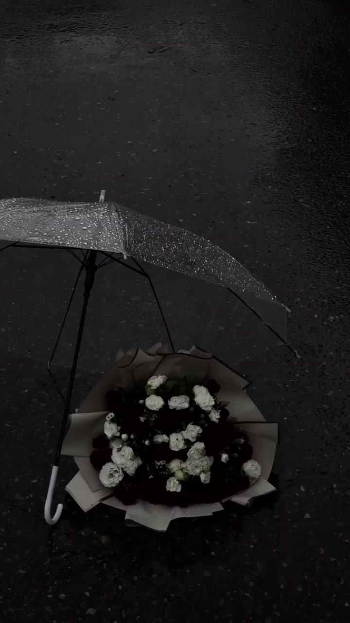 @آ۾ ريـ⃪ـ⃪𔘓ـ⃪لامـ⃪ــم🦌𔘓: