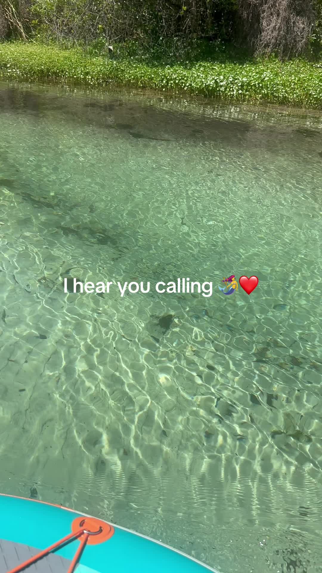 @dana