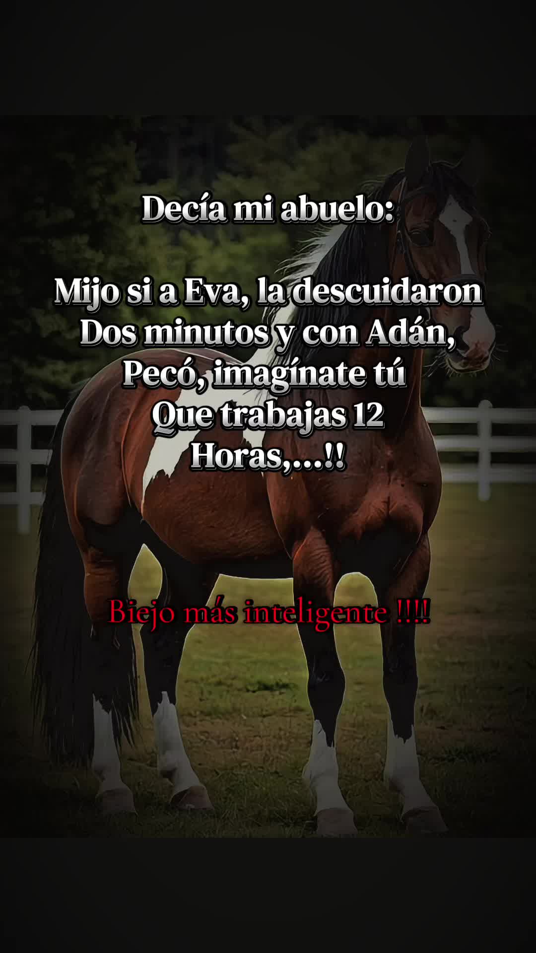 @@"Garcia502_oficial’’