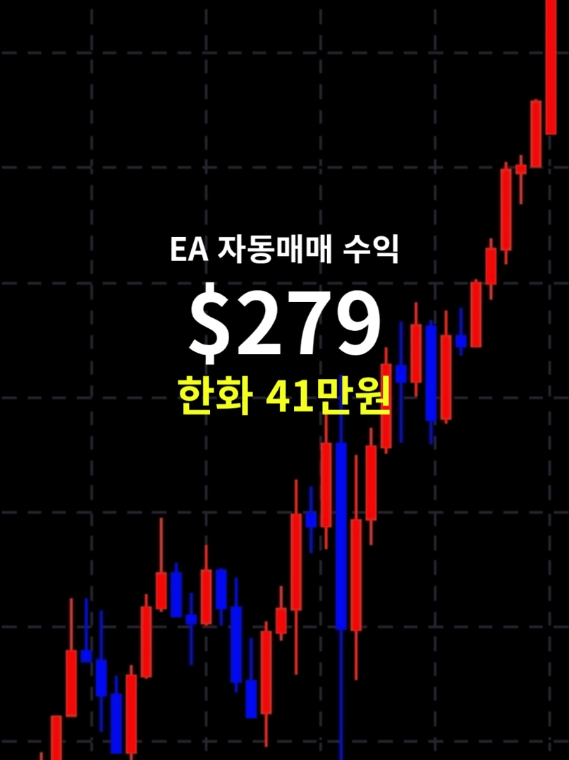 @독싸 &bull; 개인 트레이더