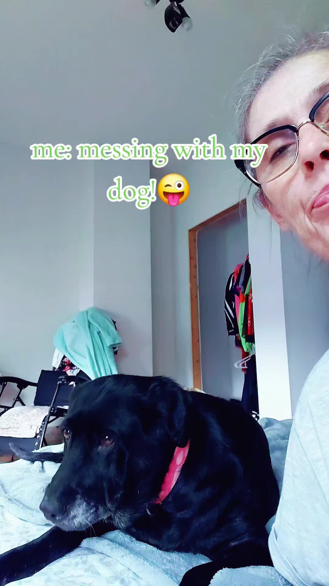 @robinsworld