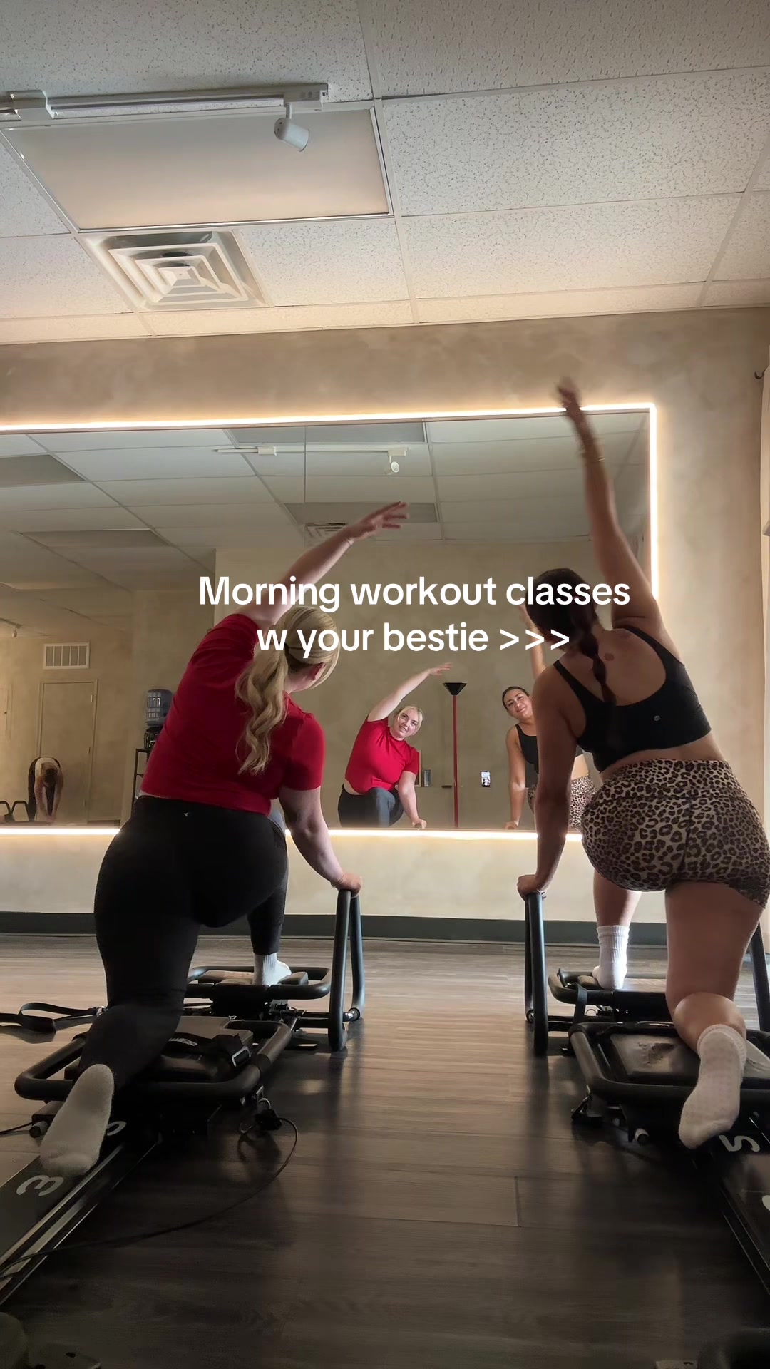 @ashlea