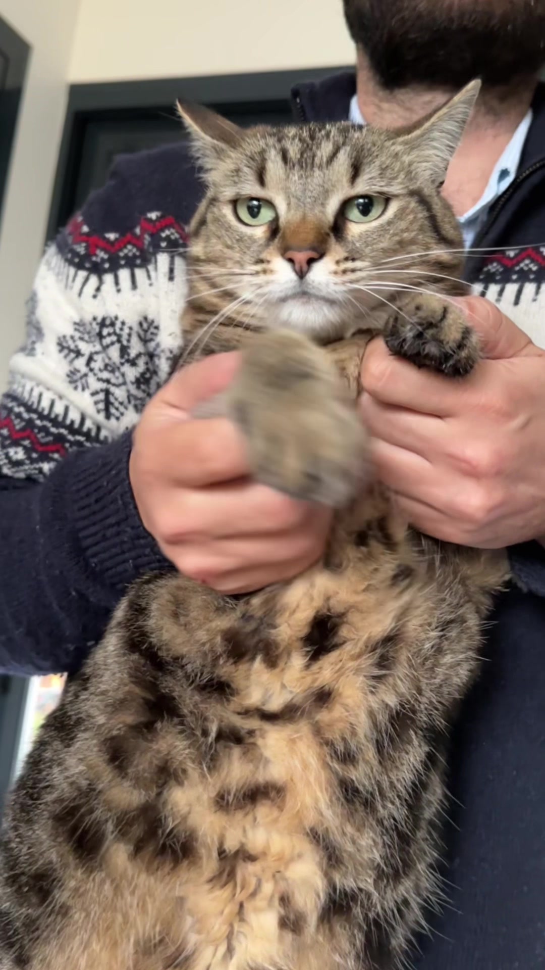 @kat