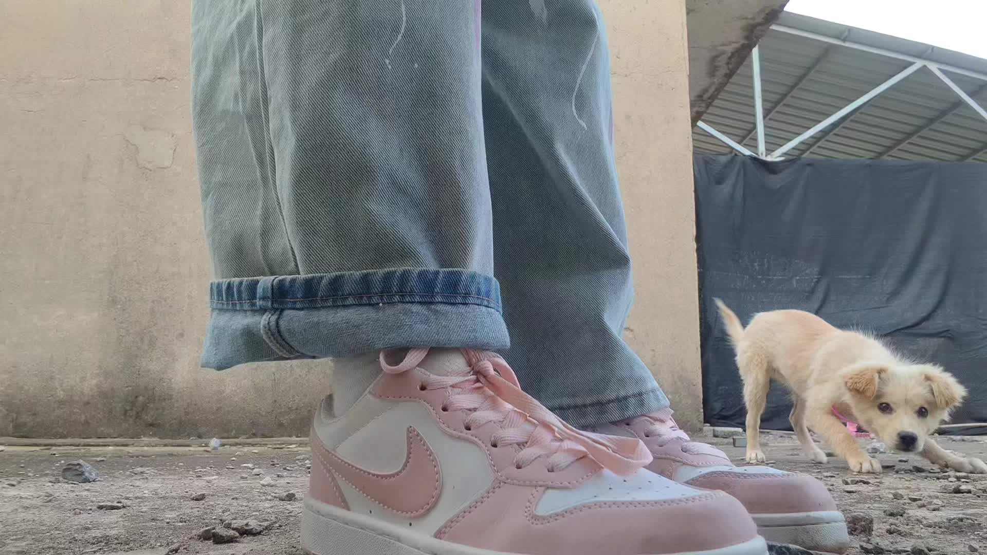 @Sneaker Lover