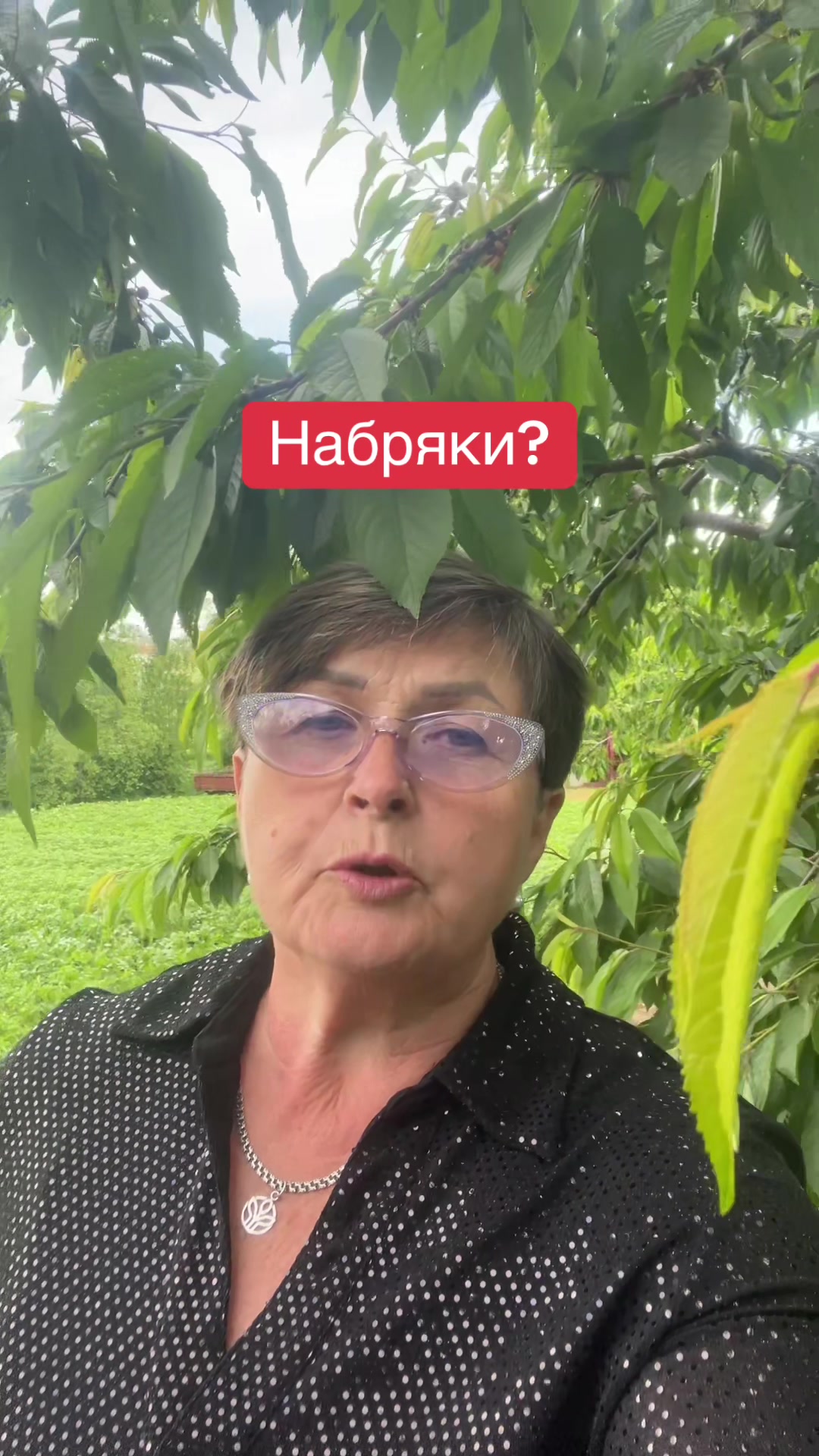 @Тетяна Дяченко