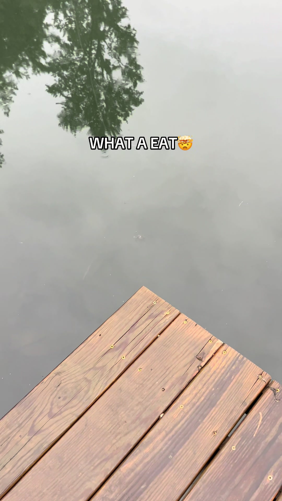 @Joey fishing_860
