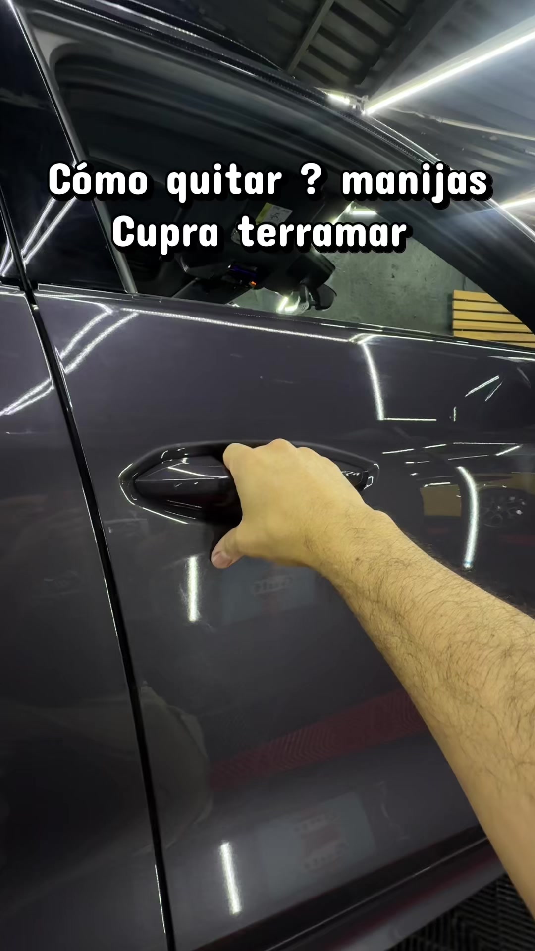 @car Wraps mx