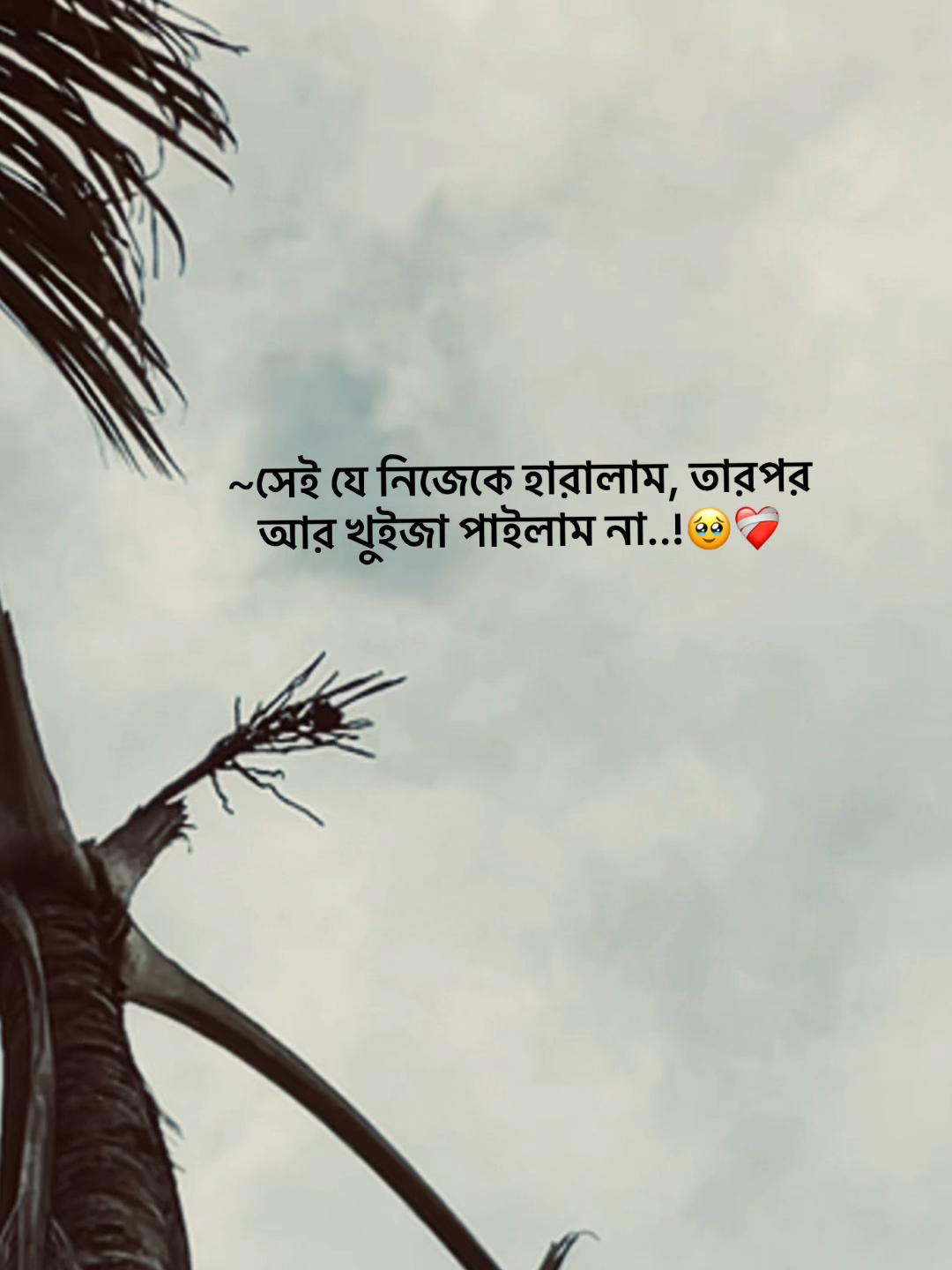 @S_A_Y_M_O_N🥰SAMMIHA🥰