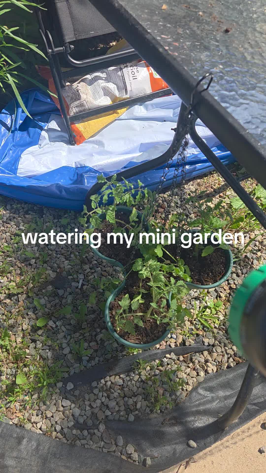 @Cindy🐈