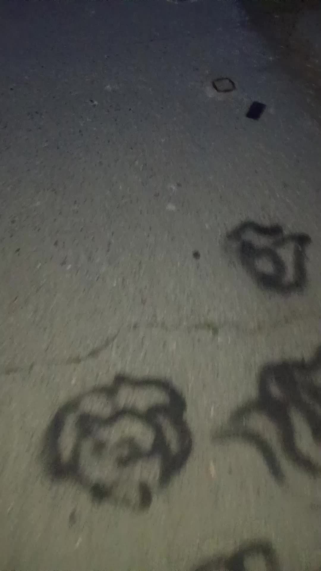 @509SE