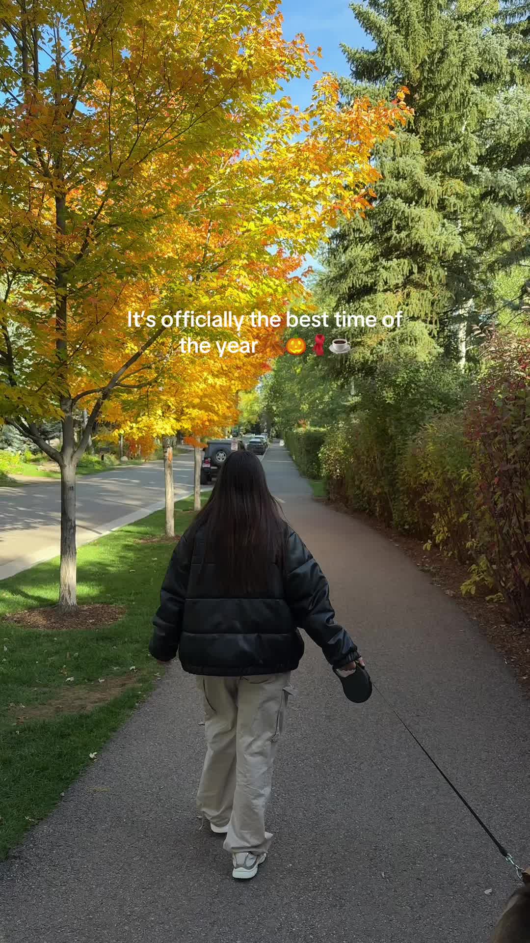 @veronica.ortegaaa