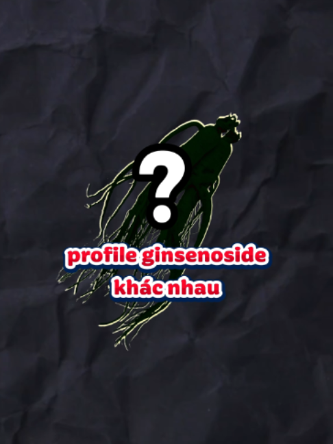 @CND GINSENG B&agrave; Rịa