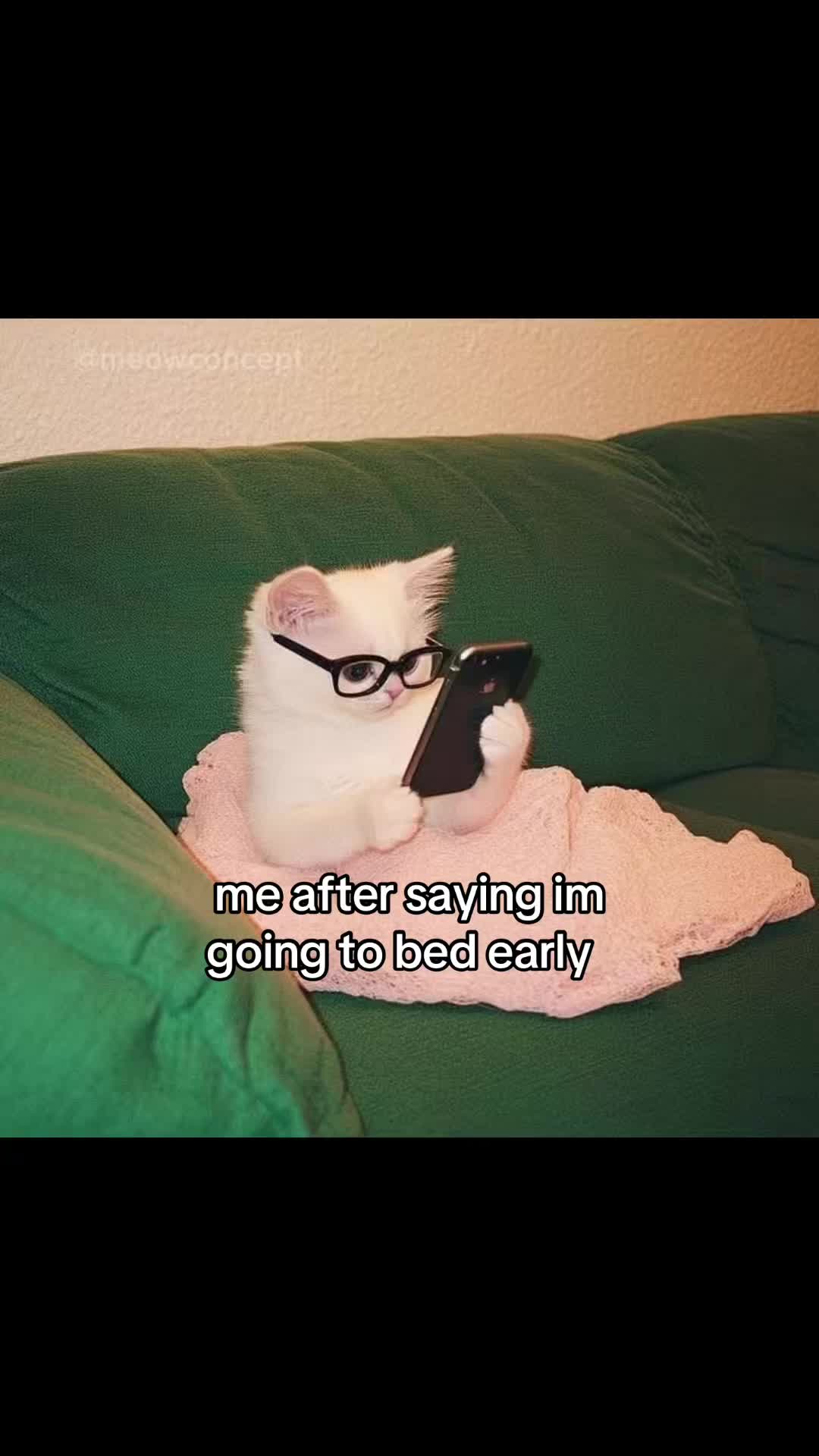 @meowconcept