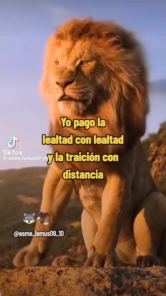 @Gaviota777