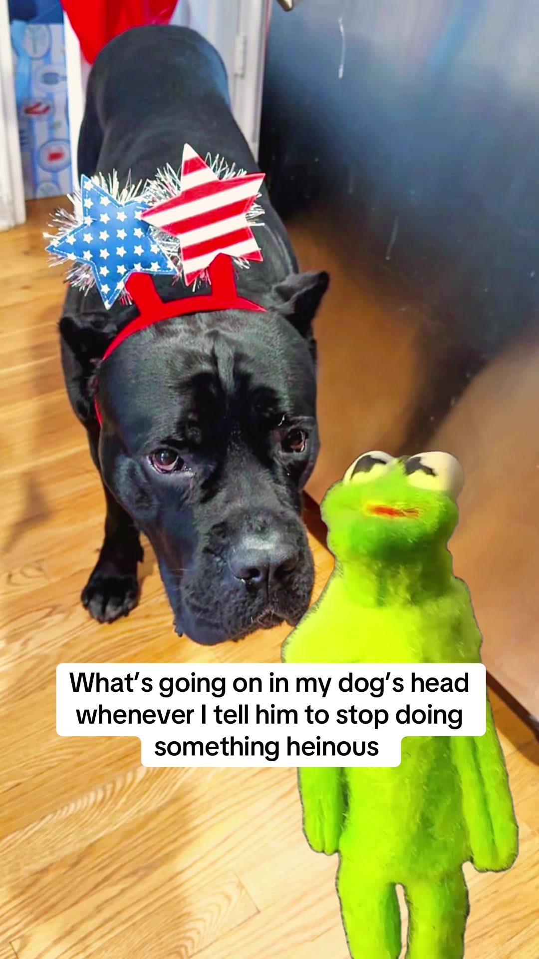 @Bentley Has Issues