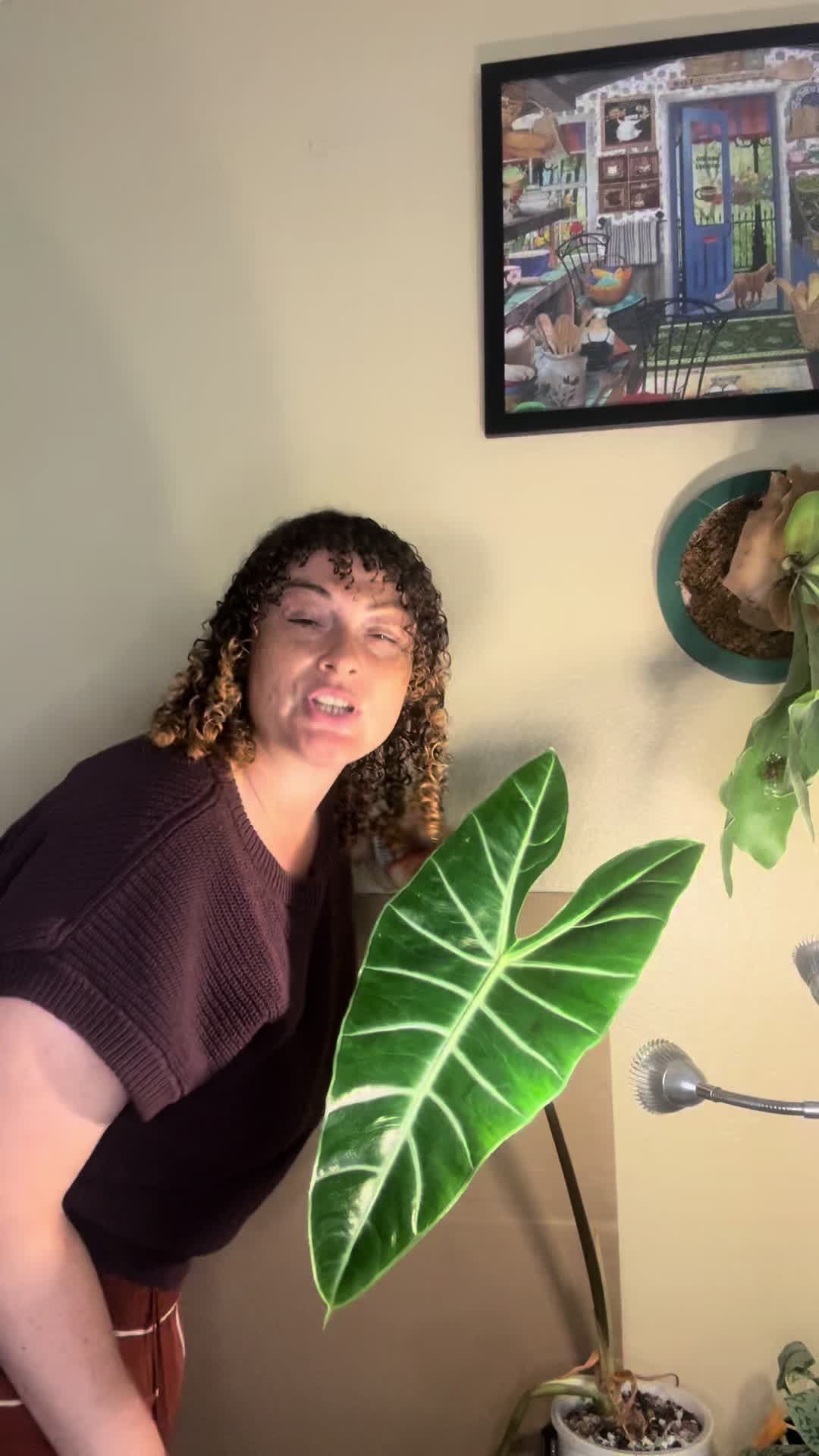 @plantparenthood93🪴🌿
