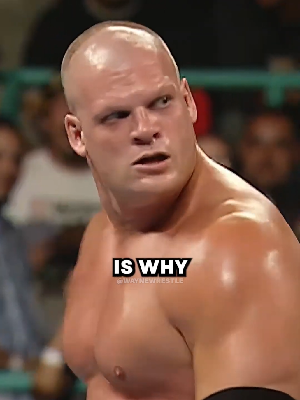 @Wayne Wrestle
