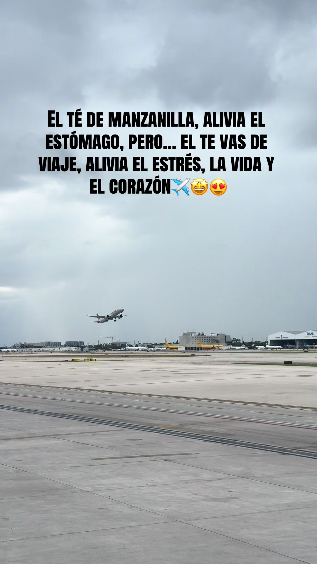 @Dileimysdelpino