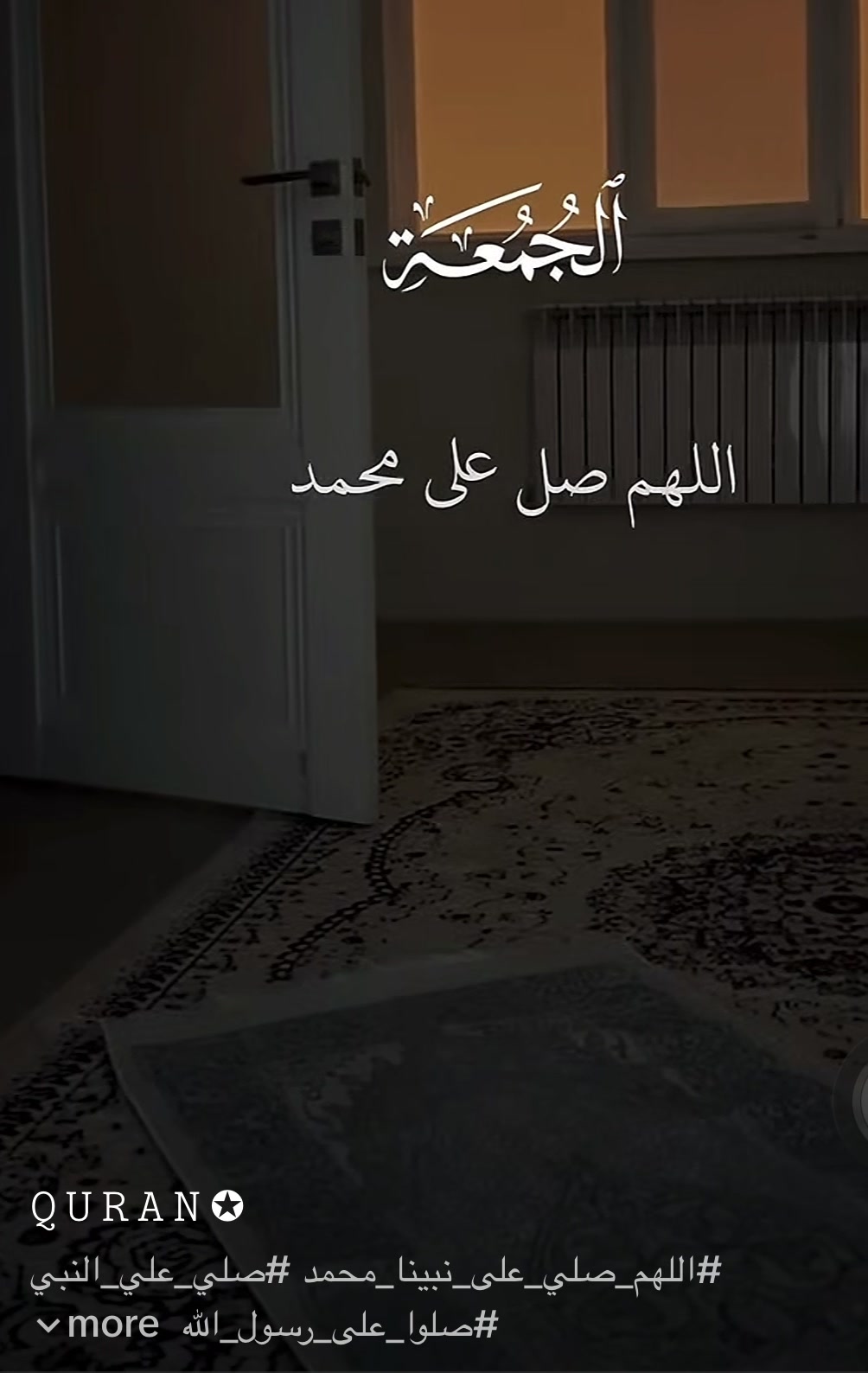 @itsfanxy