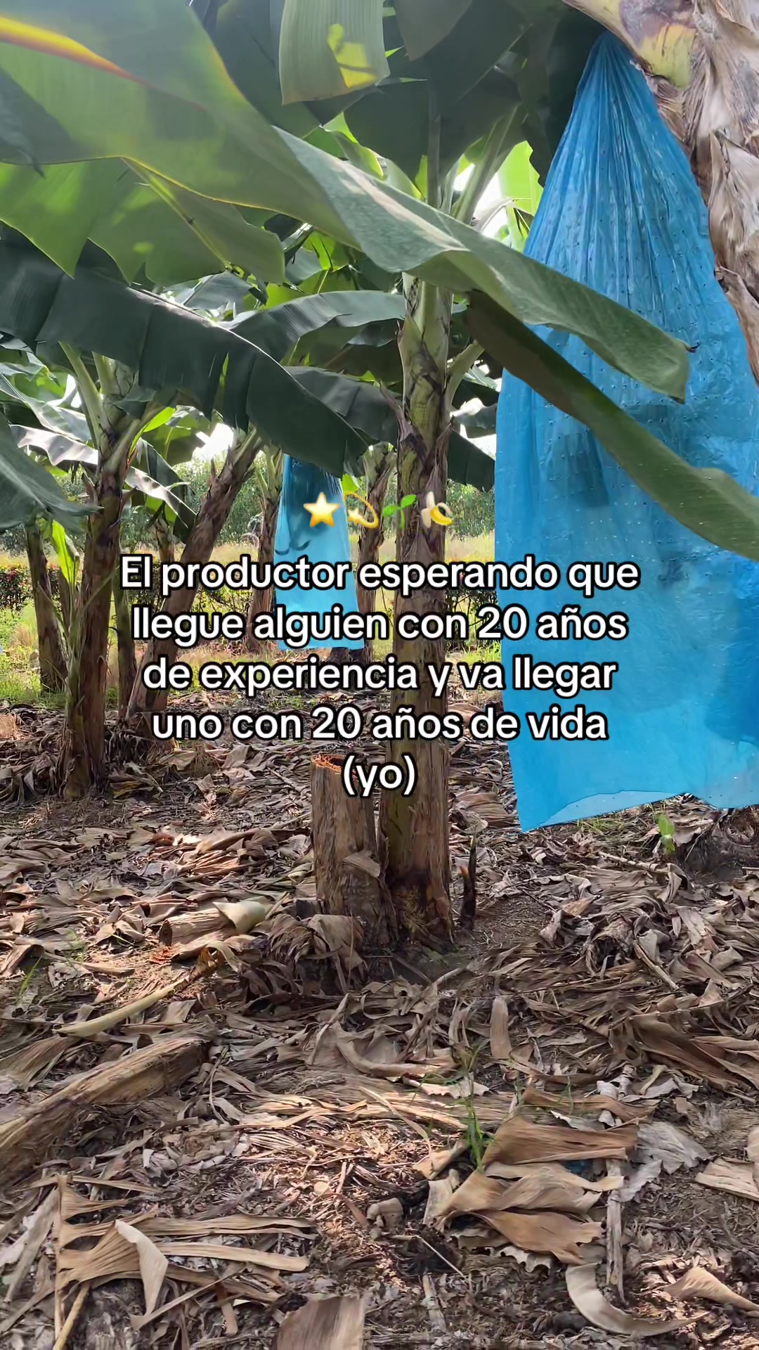 @Mujer Agr&iacute;cola