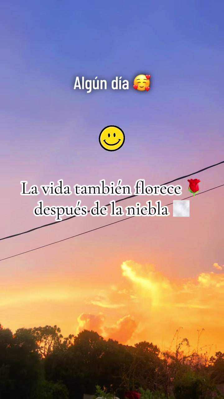 @NPOCO DTODO CONFINA5655🫶🏼