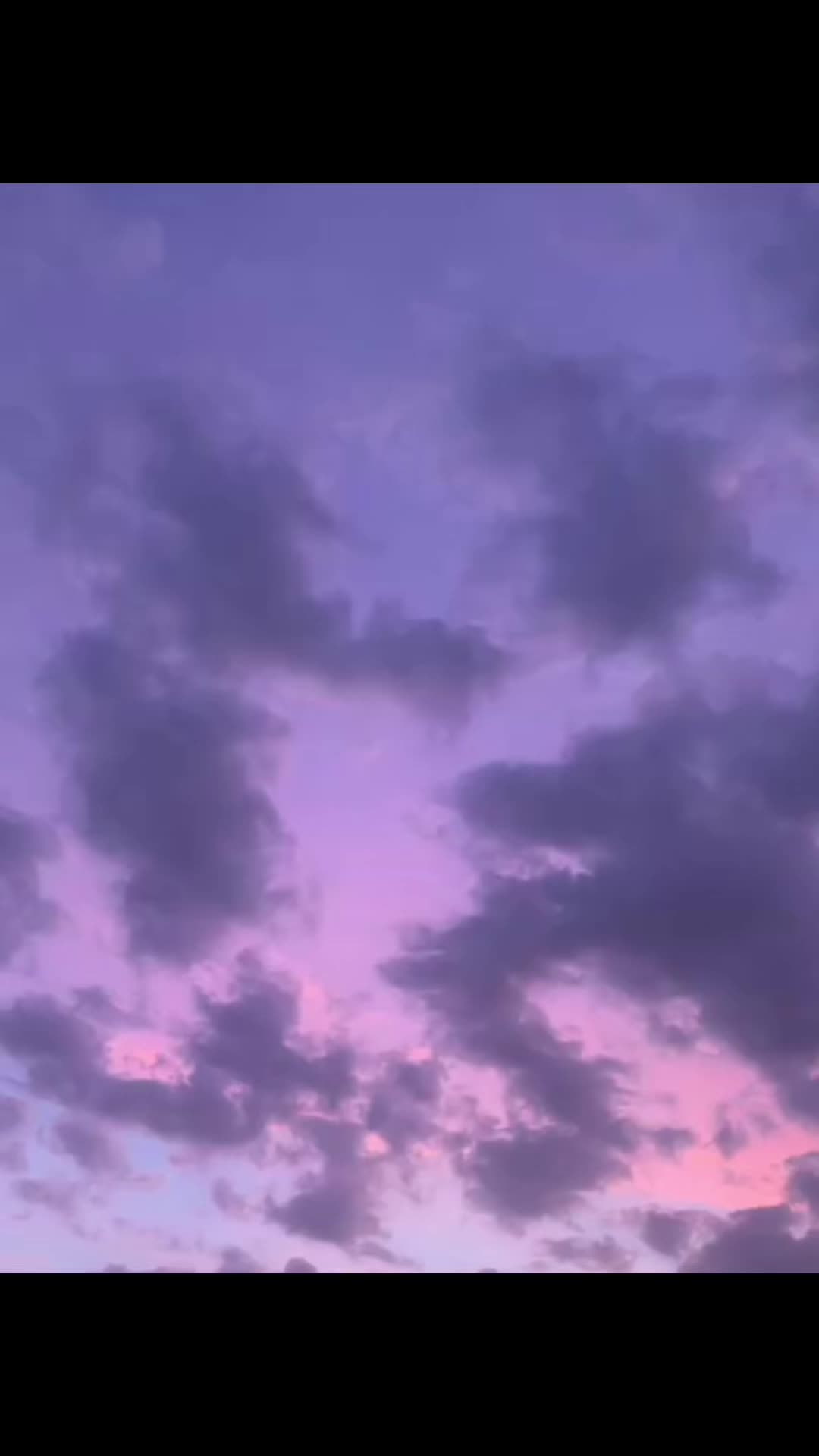 @th_kingxan