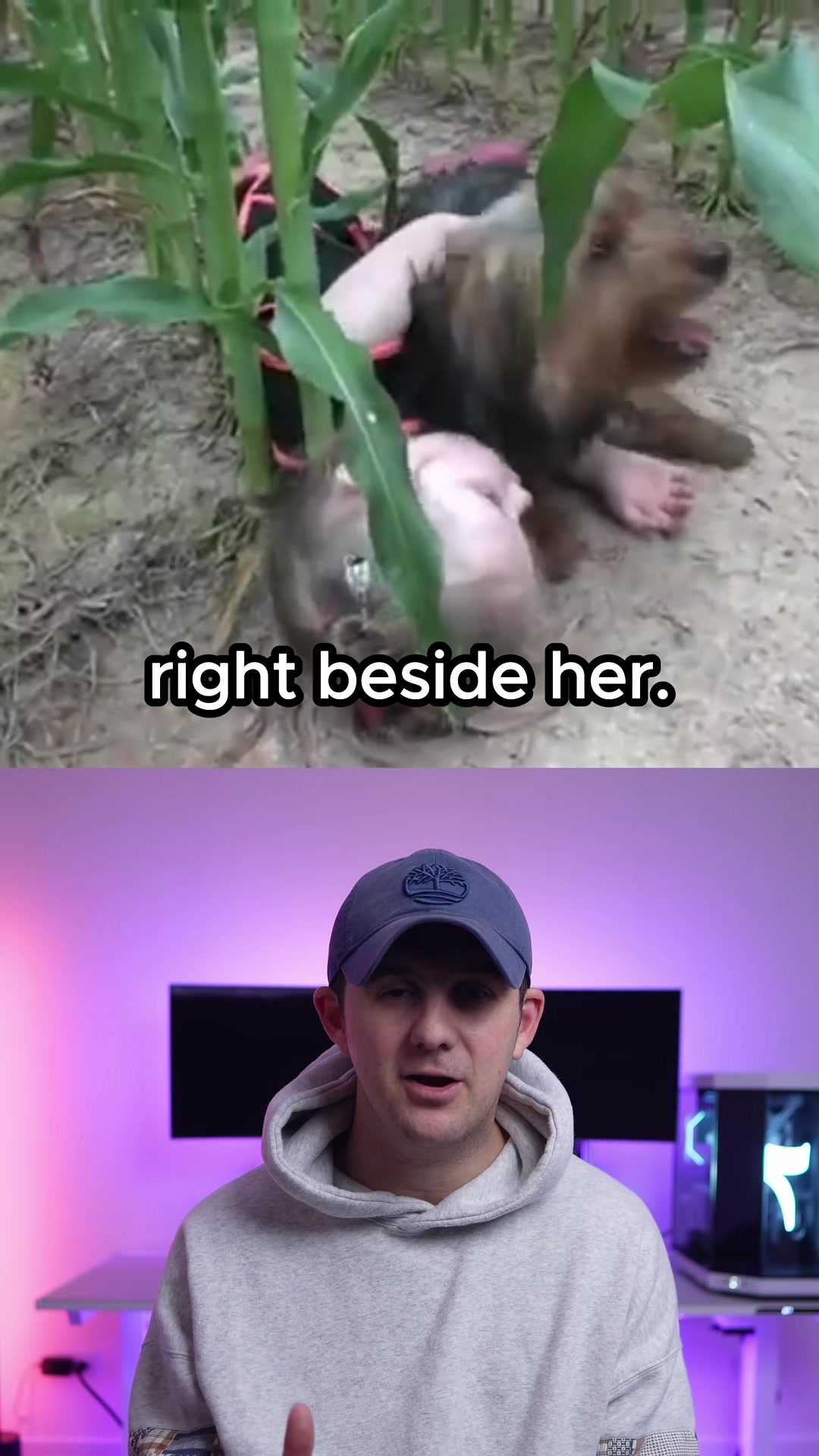 @Dommy