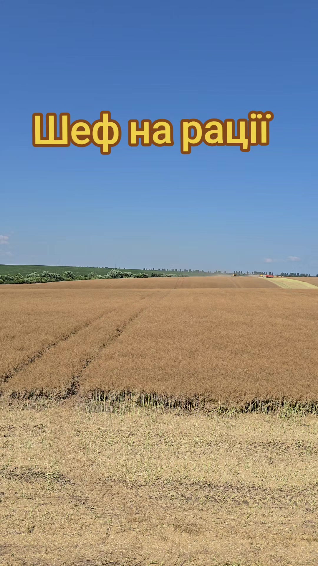 @Serhii Garashchuk