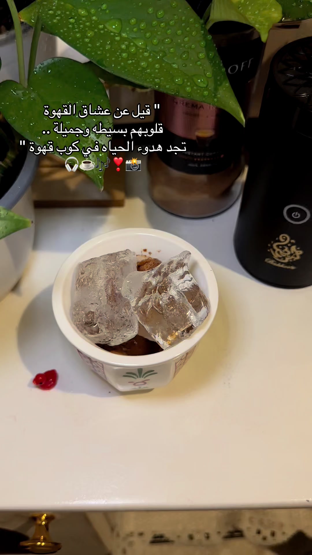 @Reem🙋&zwj;♀️🧚🏻&zwj;♀️📸