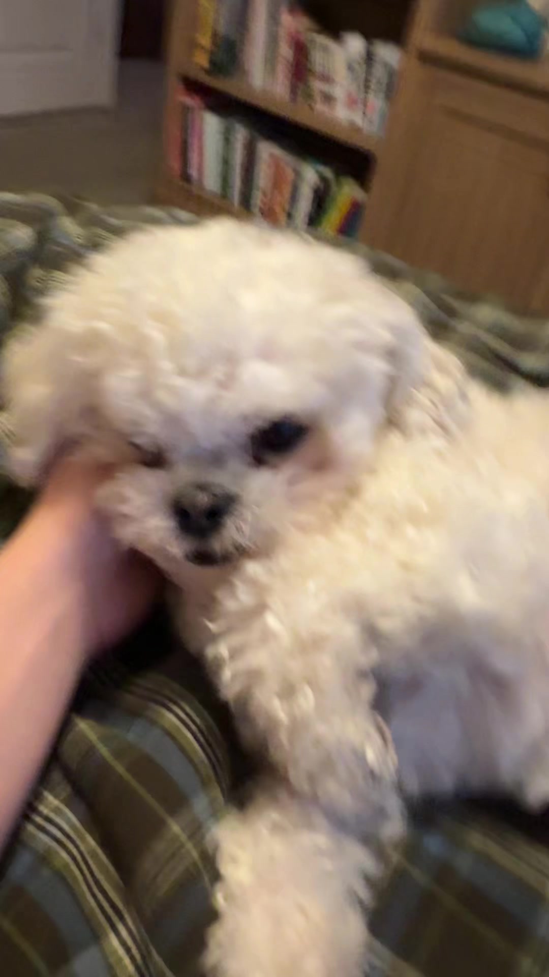 @andy