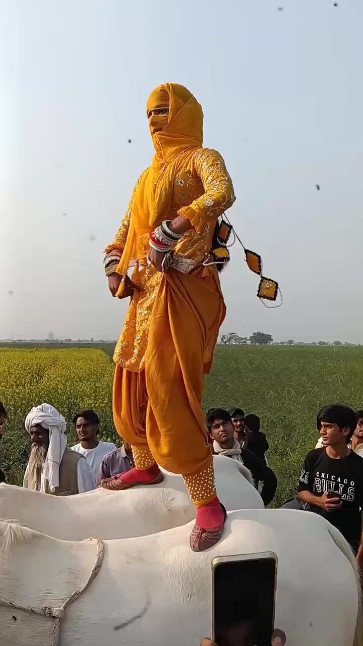@jalal