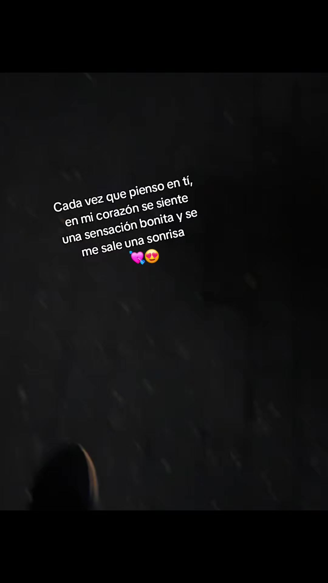 @frases_lein.02🌠