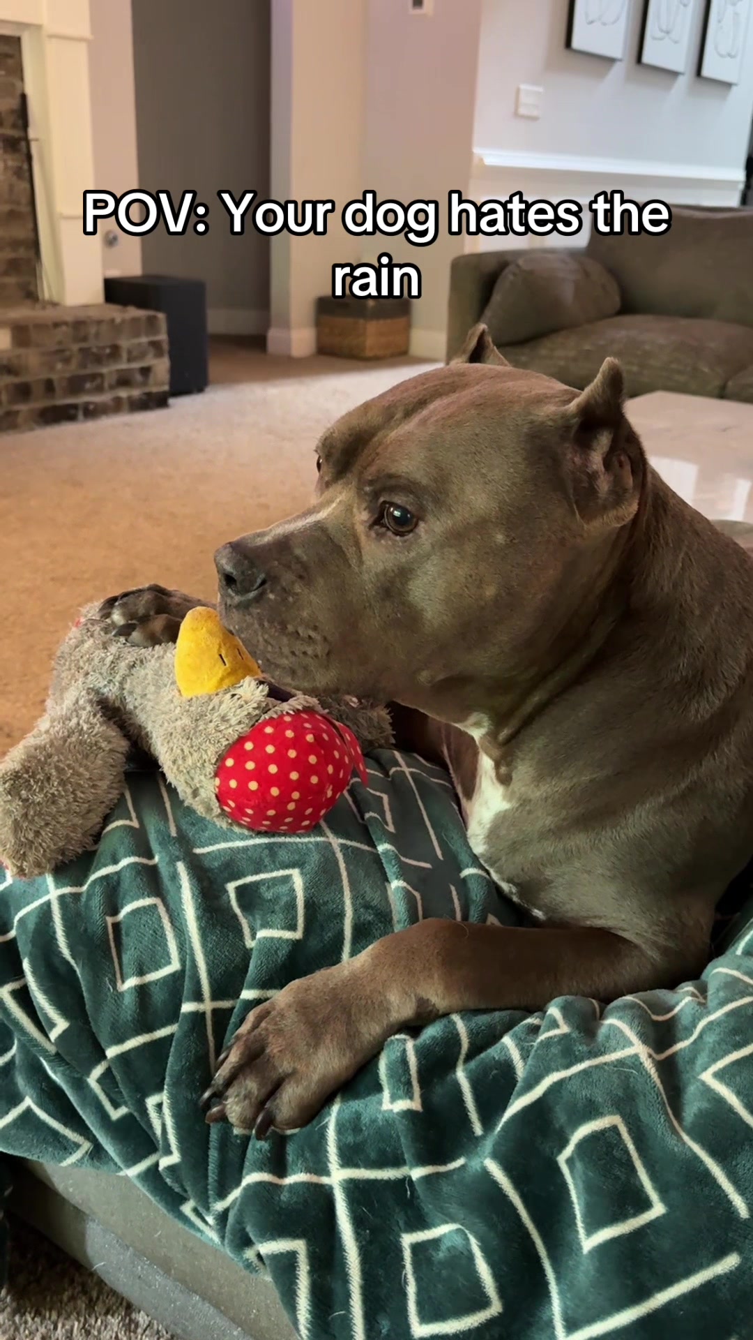 @My Dog&rsquo;s Dope