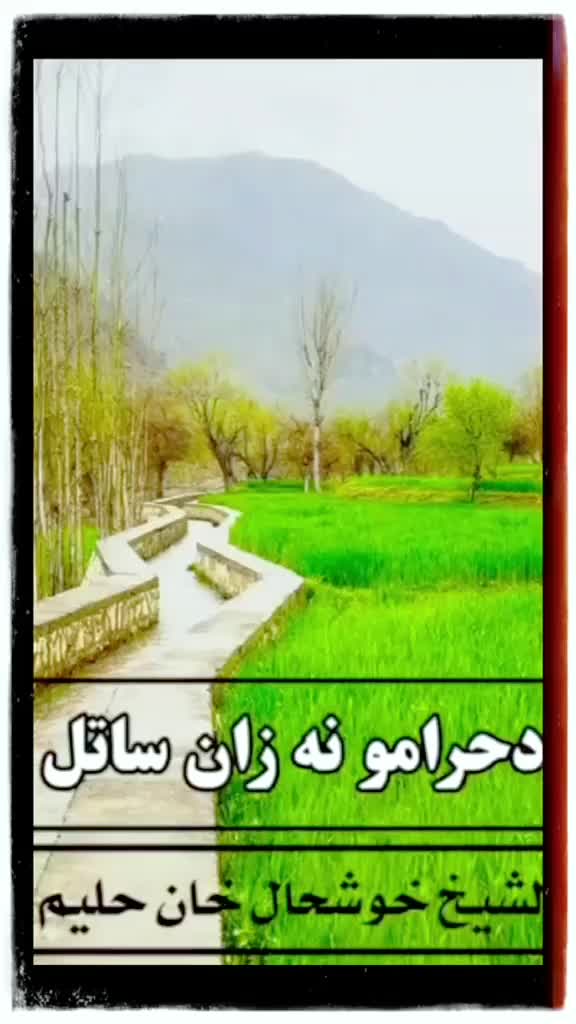 @shakir