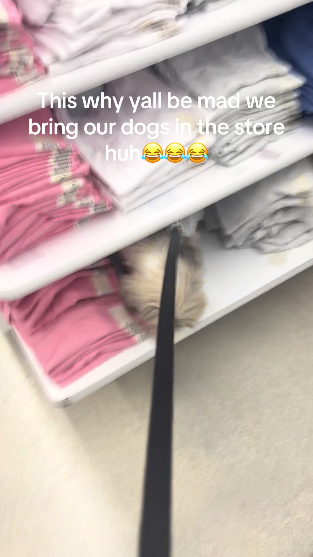 @TheAmandaShow🩷